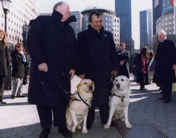 Resultado de imagen de Salty and Roselle 9/11 Rescue dog