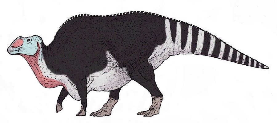 Resultado de imagen de Gryposaurus