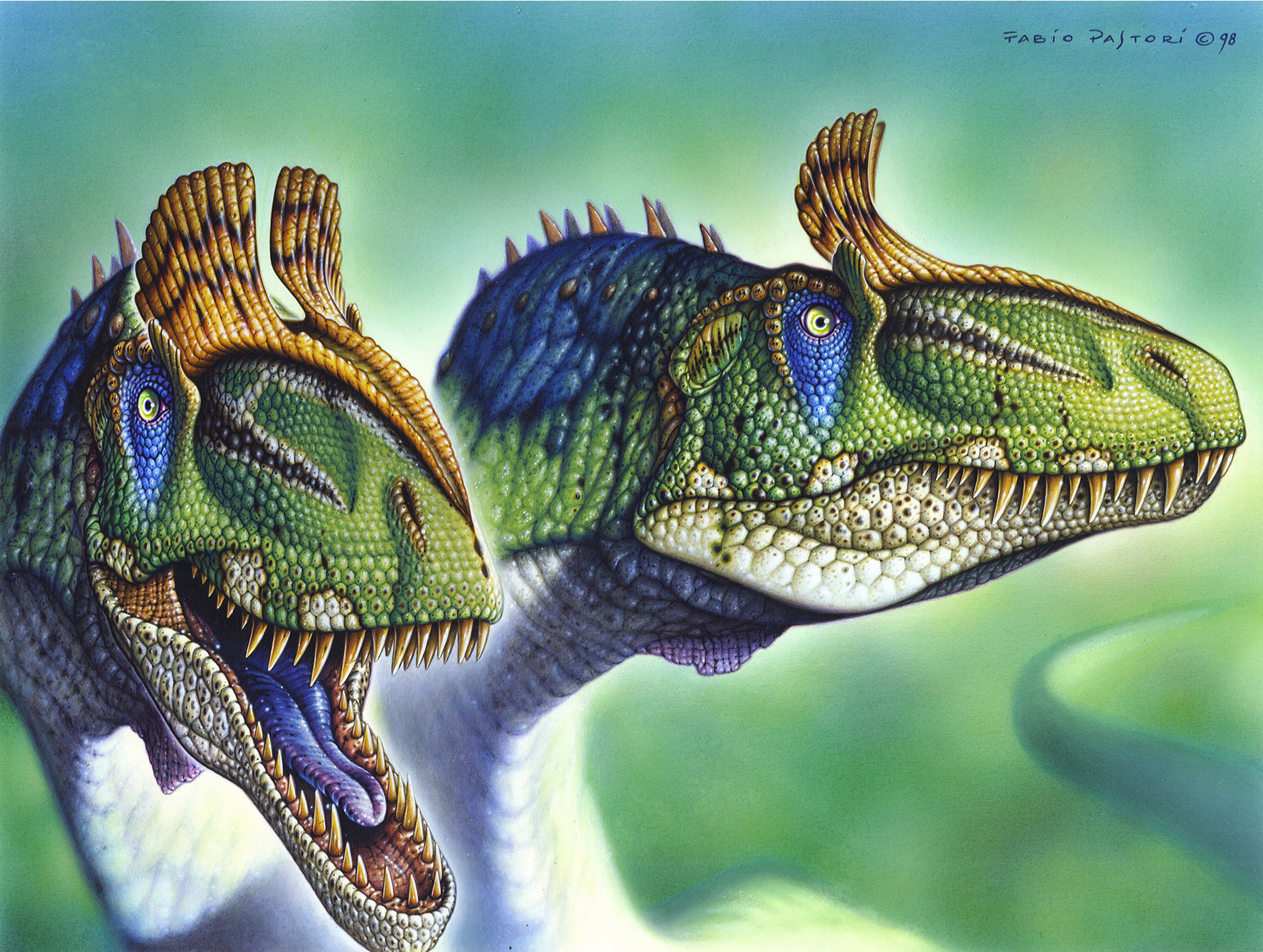Resultado de imagen de Cryolophosaurus
