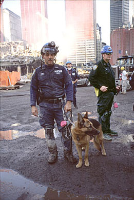 Archivo: Imágenes del Departamento de Estado Oficial del 9-11 del WTC con el Equipo de Rescate Canino.jpg