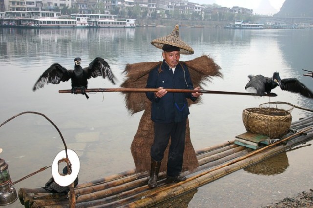 Pesca con cormoranes