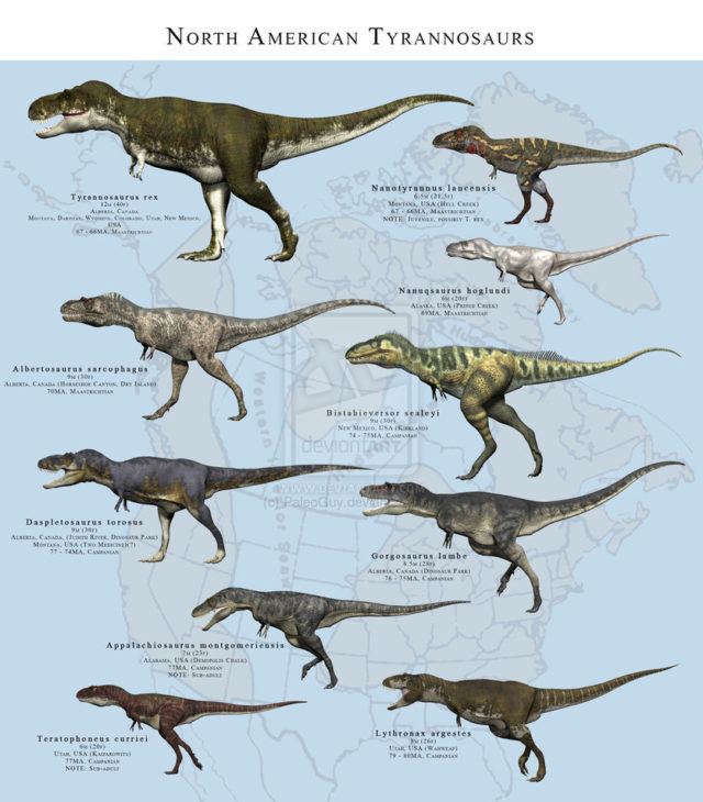 Muchas especies de T-Rex