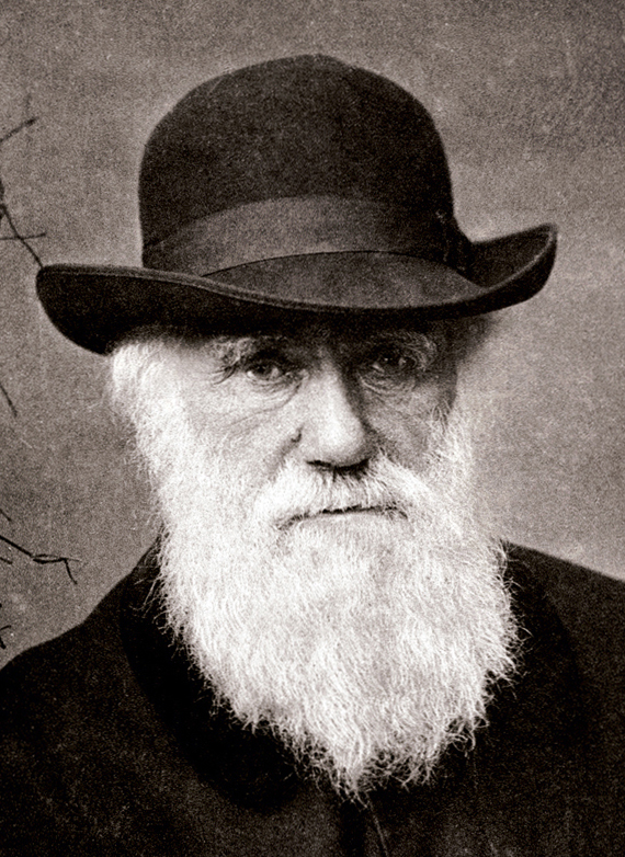 Resultado de imagen de Charles Darwin nunca negó la existencia de Dios