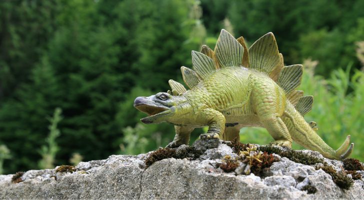 Se cree que el dinosaurio estegosaurio comía rocas para ayudar con la digestión.