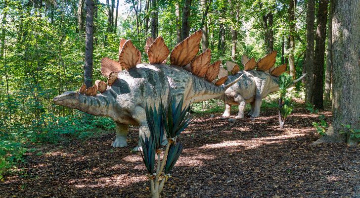 Los científicos pensaron previamente que podían volar