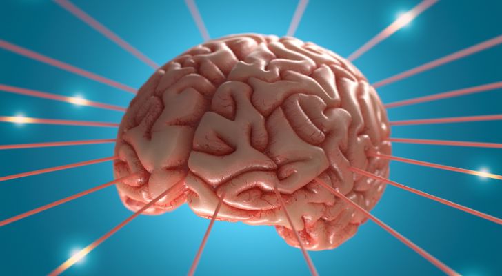 Los carbohidratos afectan el cerebro