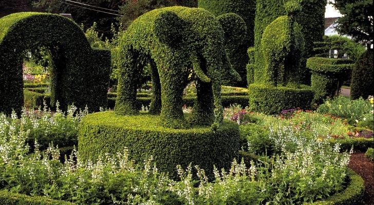 Muchos animales cortados de los arbustos en los Jardines Topiary de Green Animals