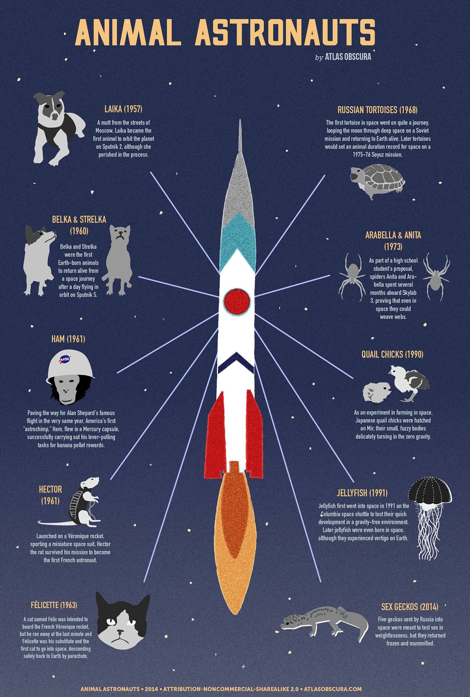 Infografía de astronautas animales
