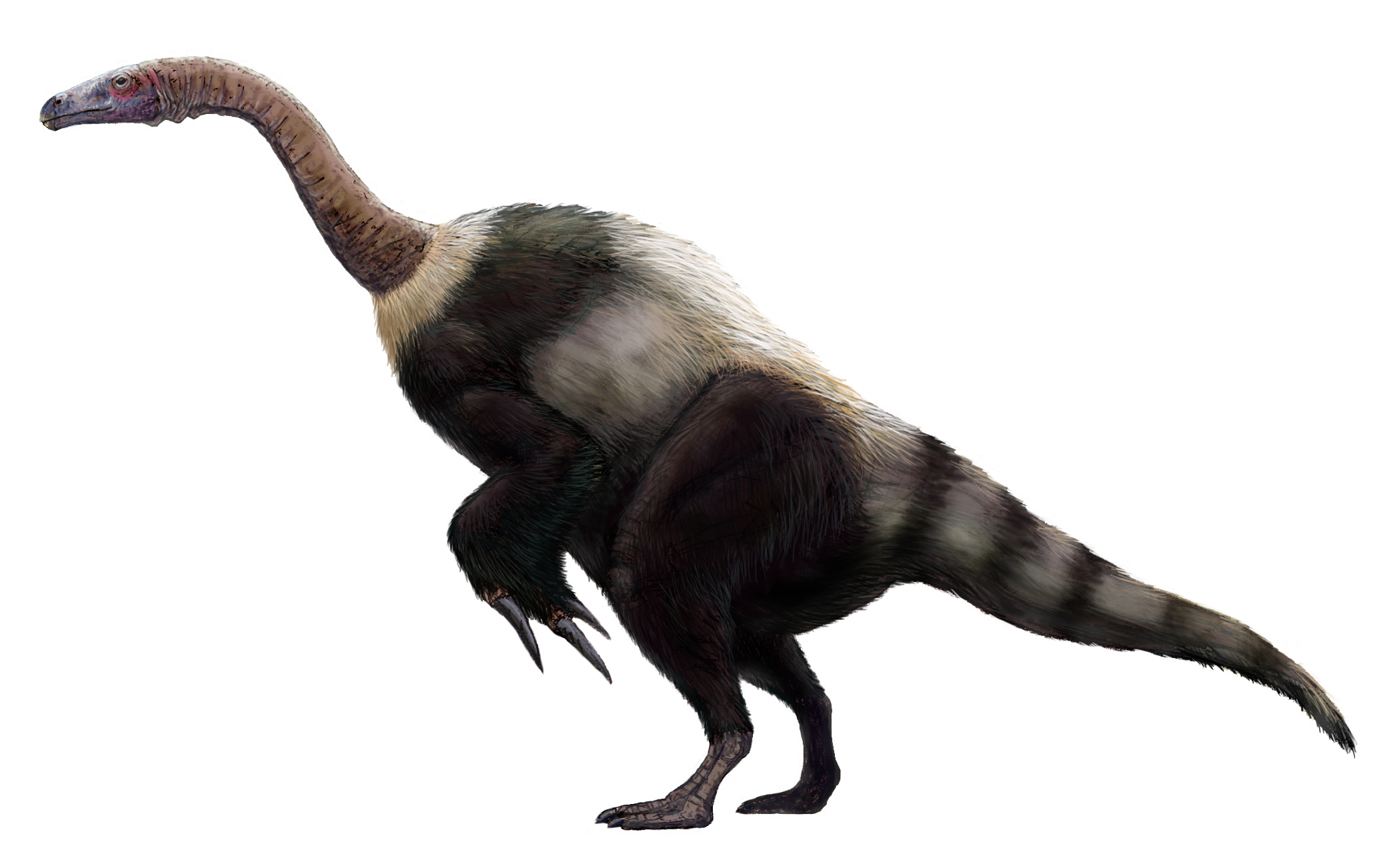 Resultado de imagen para Suzhousaurus